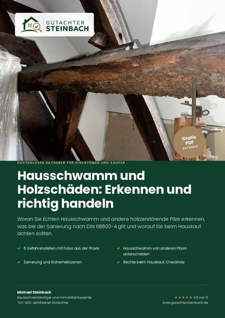 Hausschwamm und Holzschäden: Erkennen und richtig handeln – kostenloser Ratgeber als PDF
